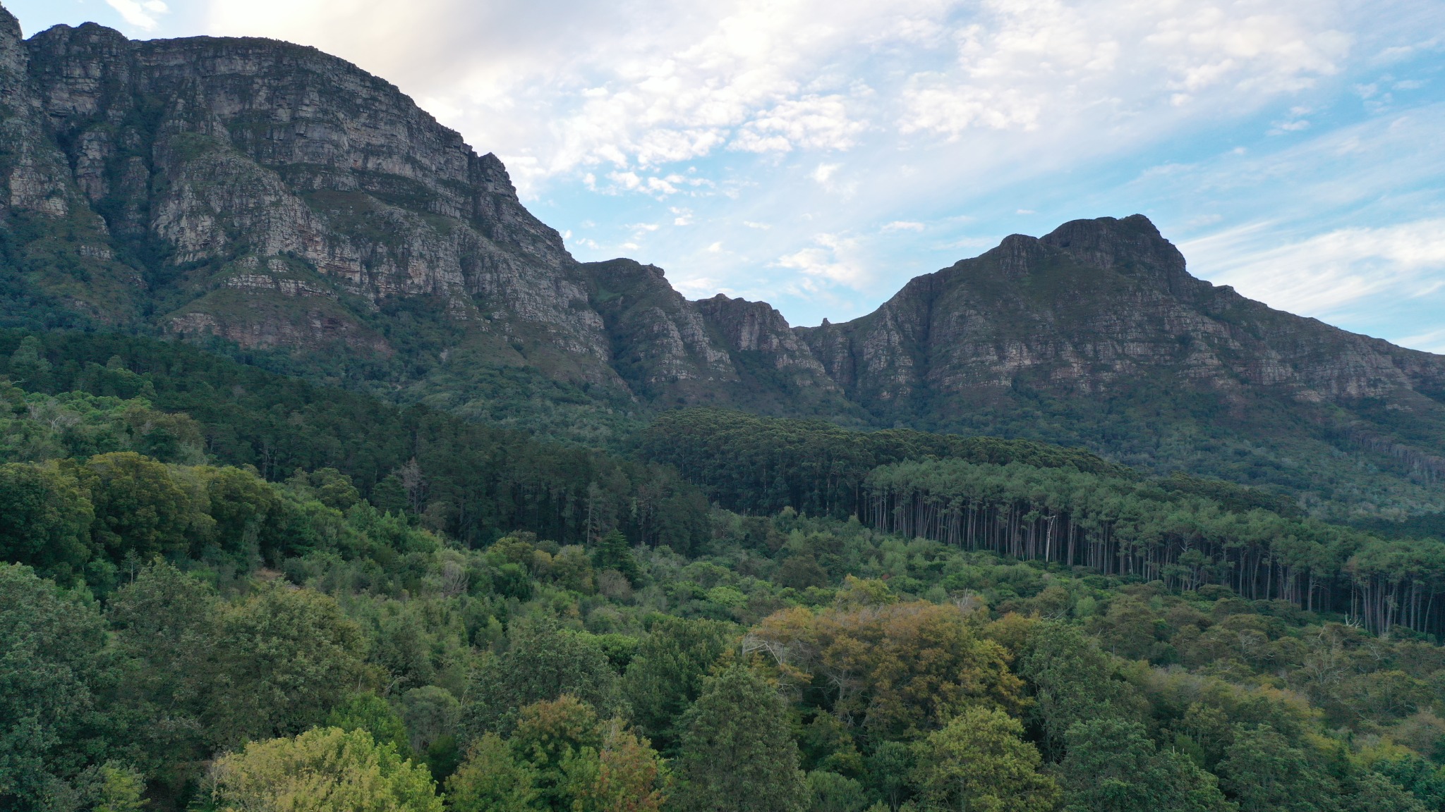 Mountain and forest setting